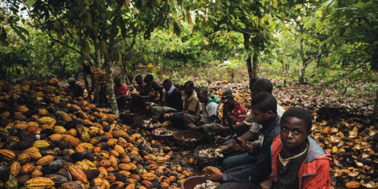 Швајцарску чоколаду праве деца робови: Суд разоткрио монструозну истину
