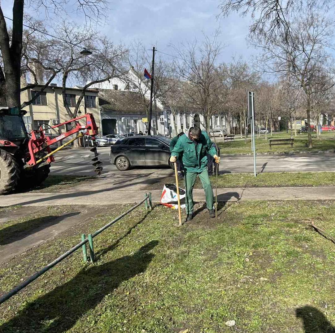 Nastavlja se plansko uređenje javnih zelenih površina