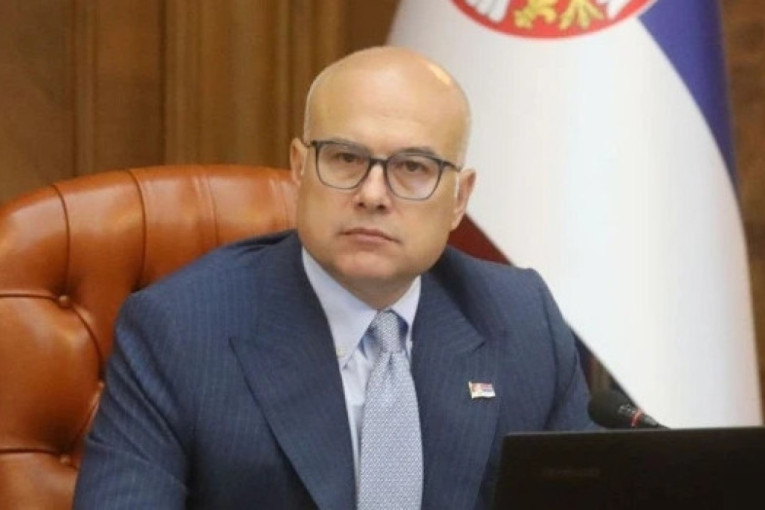 Vučević stao u odbranu predsednika Vučića: Dirali su sve, od najmlađeg sina do roditelja