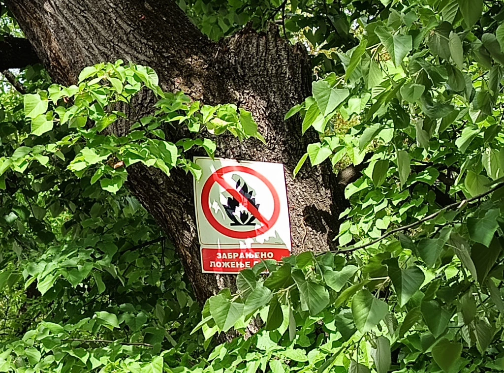 Šume pokrivaju 39,01 odsto teritorije Srbije, među najvažnijim prirodnim resursima