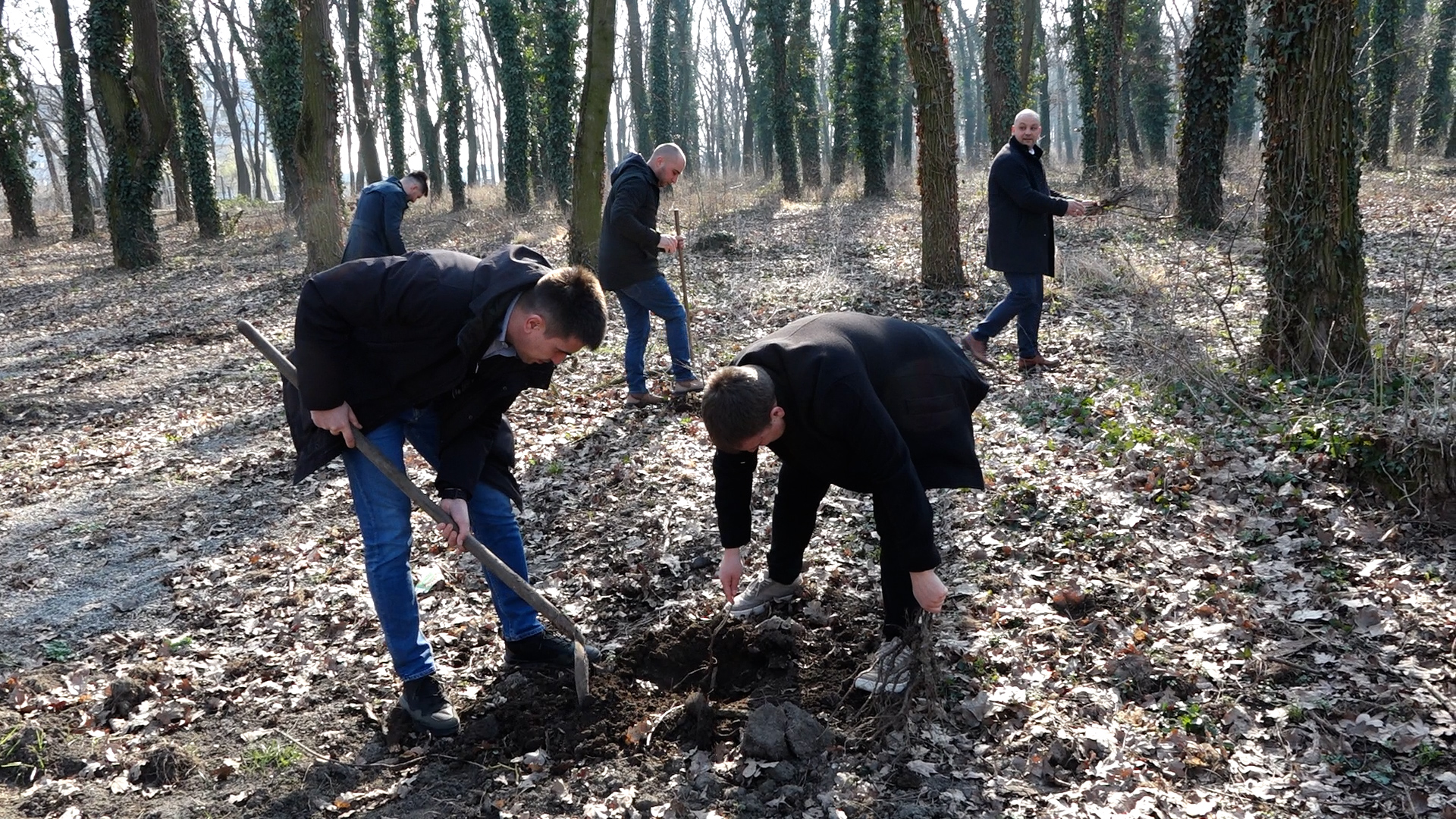 U Rokovačkoj šumi posađeno 300 novih sadnica
