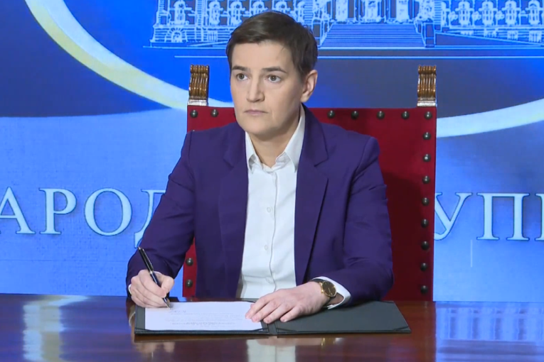 Ana Brnabić zapušila usta svima: Posmatračka misija Saveta Evrope dolazi na lokalne izbore u Srbiji na moj poziv