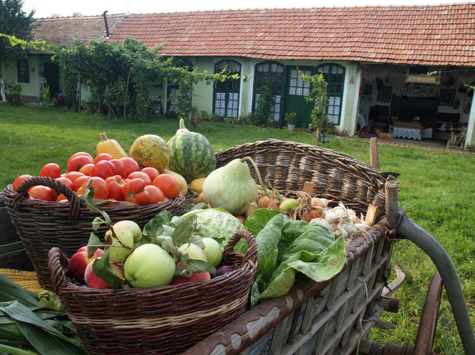 Raspisan Javni poziv za podršku proizvodnji mlečnih proizvoda, voća i povrća od 100% domaćih sirovina