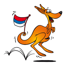 Učenici OŠ „Ivo Lola Ribar“ ostvarili uspeh na takmičenju „Kengur bez granica“