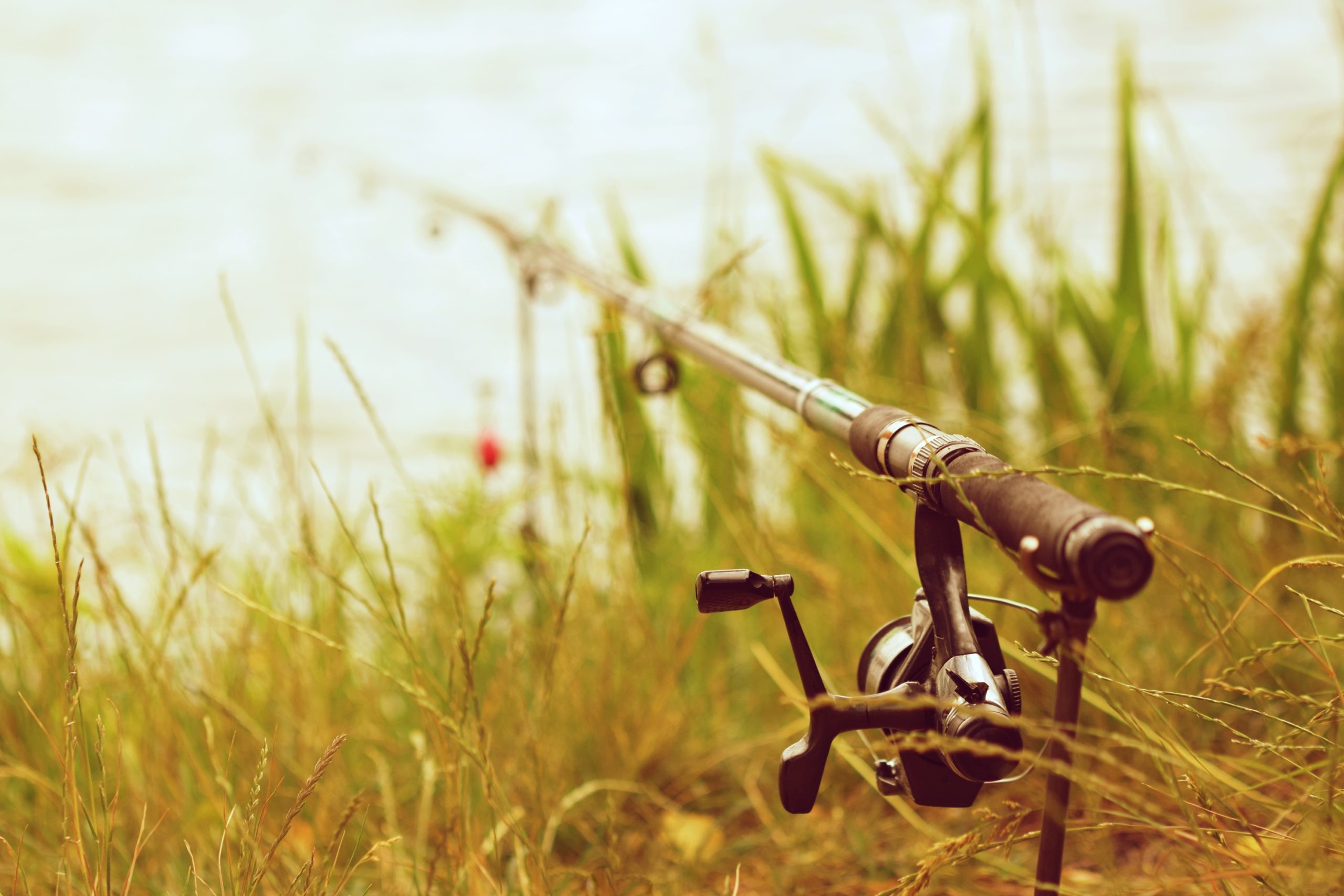 Na Gradini 18. aprila održava se prvenstvo Sombora u sportskom ribolovu