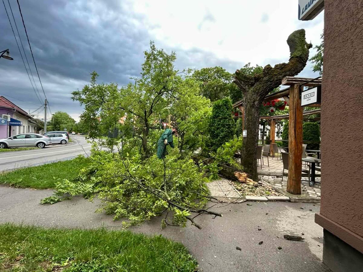 Uklanjanje posledica nevremena u Somboru: ekipe na terenu