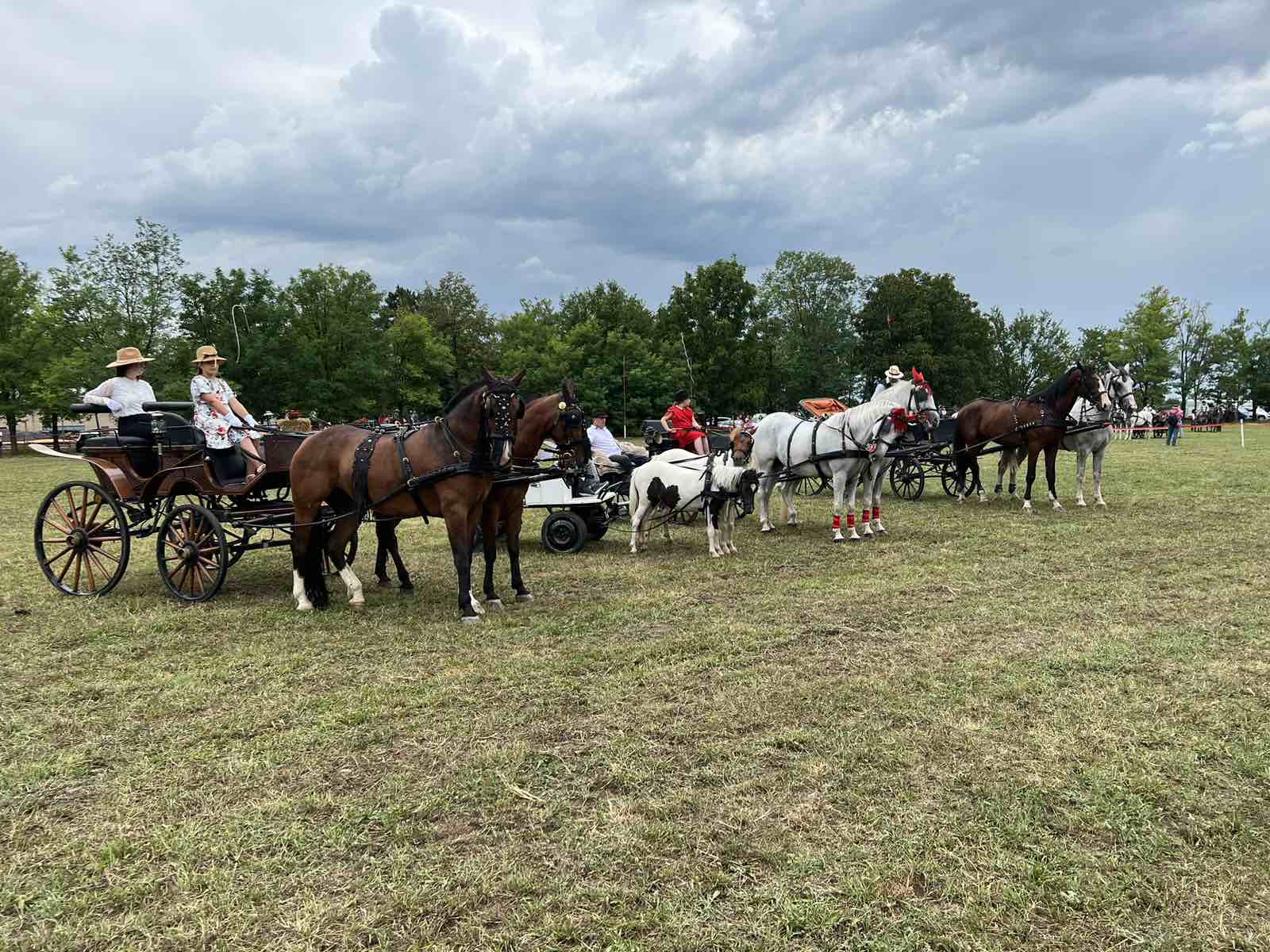 FIJAKERIJADA I „ZLATNI KOTLIĆ DOROSLOVA“ 26. JULA OKUPLJAJU LJUBITELJE TRADICIJE, KONJA I VOJVOĐANSKE KUHINJE