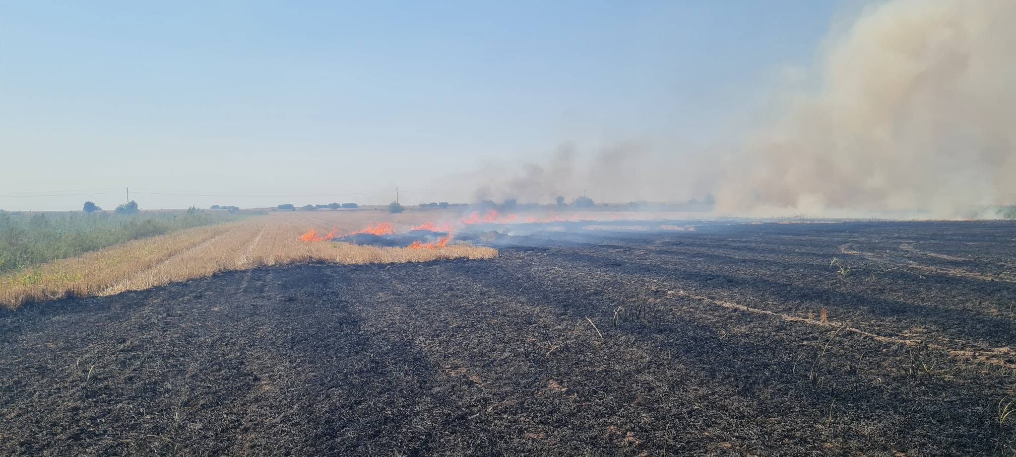 Požar kod Sombora: Izgorelo oko 20 jutara površine