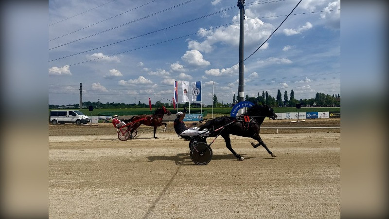 Trkački dan u Somboru 18. oktobra: sedam trka